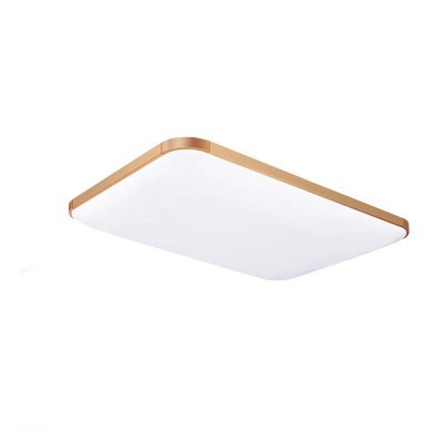 吸顶灯 LED吸顶灯亚克力铝材客厅灯现代简约长方形吸顶灯厂家批发图5