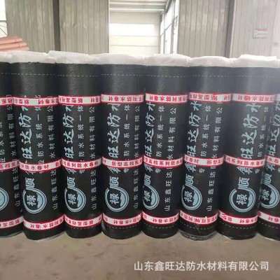 sbs防水卷材楼顶屋面地下室SBS弹性体改性沥青防漏耐根穿刺图2