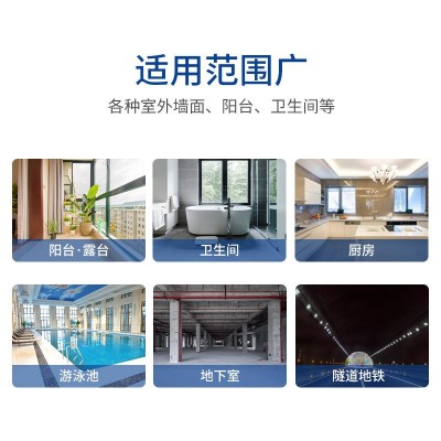 劳尔斯K11通用型彩色防水涂料 室内外防水涂图3