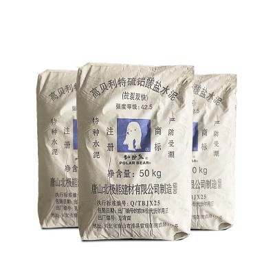 厂家供应快凝快硬快干水泥防水堵漏修补无裂缝材料抗裂双快水泥图4