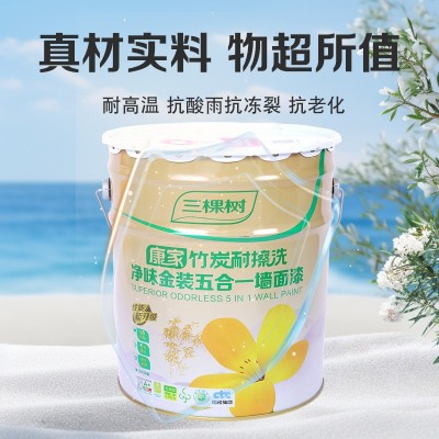三棵树五合一墙面漆净味防霉涂料耐擦洗抗污性 白色乳胶 漆批发图2