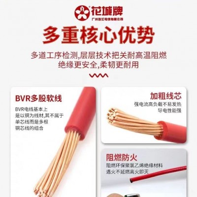 广州珠江电缆单股多芯软线ZC-BVR国标纯铜阻燃1.52.546平方铜芯图2