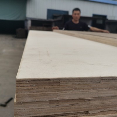 【多层板】20mm-40mm多规格包装板杨木多层托盘板胶合板可定制图2