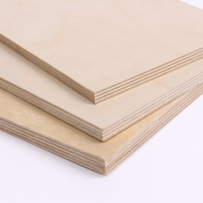 进口segezha1220*2440*3-25mm桦木海洋板 白桦木胶合板多层板图4