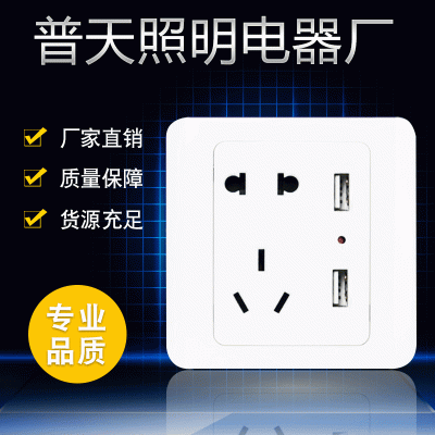 厂家批发USB插座面板香槟雅白色家用远景五孔带双USB两位入墙式