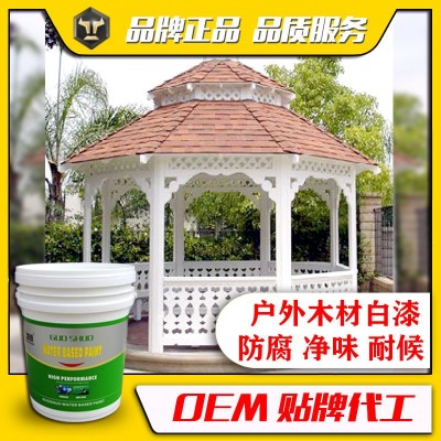 国硕快干清漆家用家具翻新涂刷水性底漆面漆工艺品漆水性木器底漆