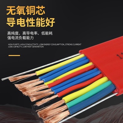 行车扁电缆线起重机天车龙门吊双钢丝控制拖缆YFFB电动 葫芦随行线图2