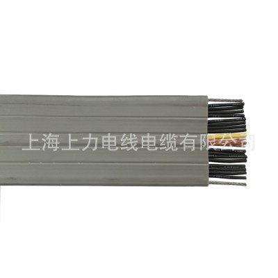 电梯扁平电缆TVVBPG 14*0.75+1*1.5+2*2P*0.5+2S图3