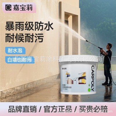 嘉宝莉新境界防水防晒外墙漆乳胶漆户外自刷涂料色彩家用墙面油漆