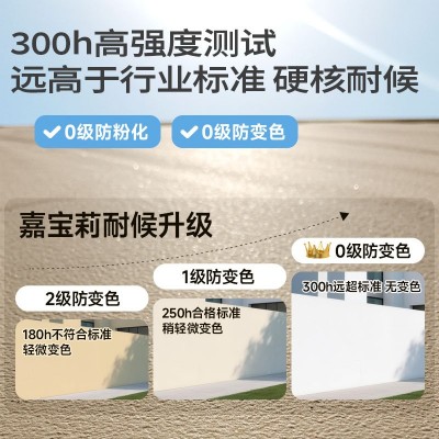 嘉宝莉新境界防水防晒外墙漆乳胶漆户外自刷涂料色彩家用墙面油漆图2