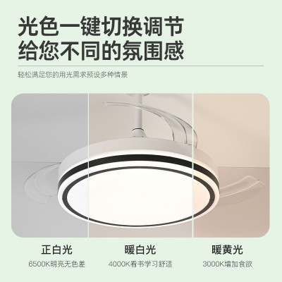 隐形风扇灯中山工厂餐厅灯客厅吊扇灯变频48寸静音灯具可调光吊灯图3