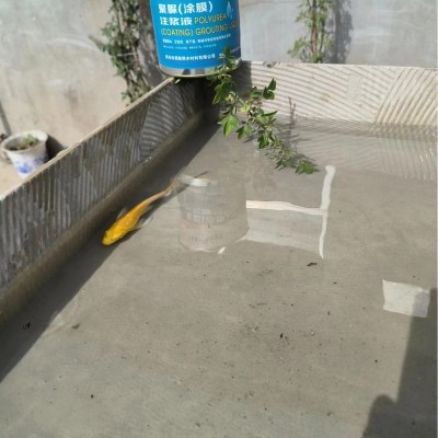 聚脲防水防腐涂料屋顶裂缝补漏水鱼池污水池胶堵漏王耐用耐候抗裂图4