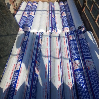 生产定做聚氯乙烯PVC防水卷材 屋面 厂房 高分子pvc防水卷材图4