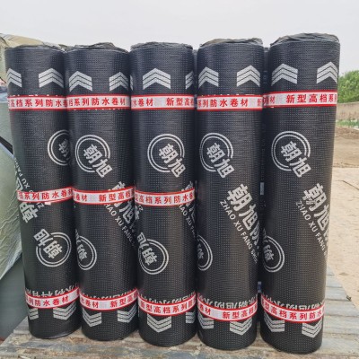 SBS防水卷材 火烤型改性沥青屋顶屋面耐根刺穿建筑防水补漏材料图3
