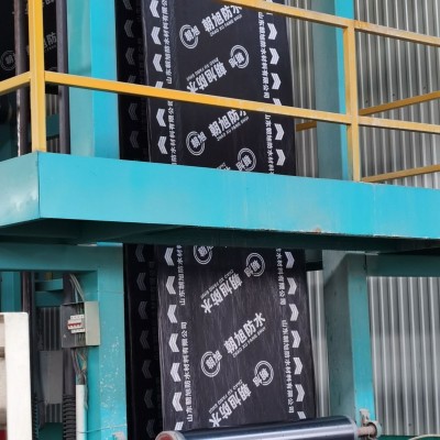 SBS防水卷材 火烤型改性沥青屋顶屋面耐根刺穿建筑防水补漏材料图2