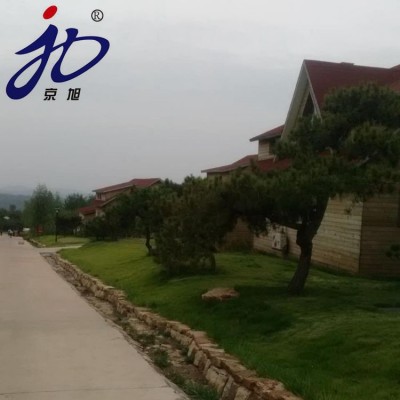 山东防水厂家供应京旭牌 沥青瓦 马赛克型 标准型 叠型沥青油毡瓦图2