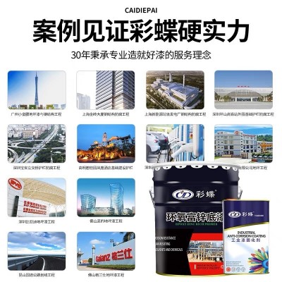 彩蝶环氧富锌底漆防腐防锈漆金属桥梁船铁护栏皮铝架彩瓦镀灰色钢图2