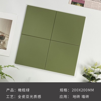 莫兰迪地砖卫生间瓷砖马卡龙彩色厨房餐厅全瓷200素色方砖小红砖图5