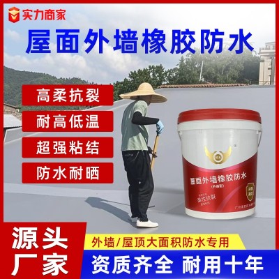 房顶墙面地面补漏水性防水材料 楼顶外墙补漏王防水涂料 屋顶专用图2