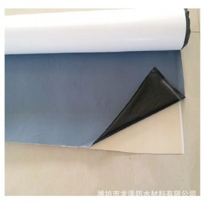 PVDF氟碳膜耐候丁基自粘高分子防水卷材高分子材料 彩钢瓦免火烤图2