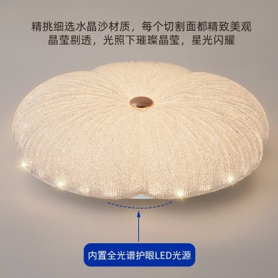 山茶花吸顶灯氛围高级感卧室灯定制奶油风儿童房间灯入户玄关灯图5