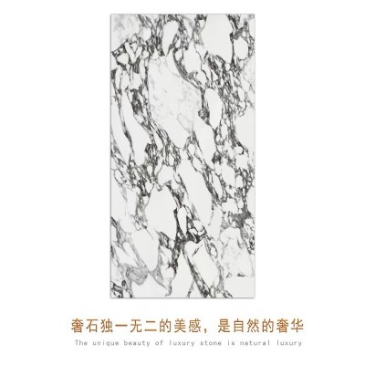 全瓷600x1200宝格l丽柔光砖750x1500寒江雪大理石客厅卫生间地砖图5
