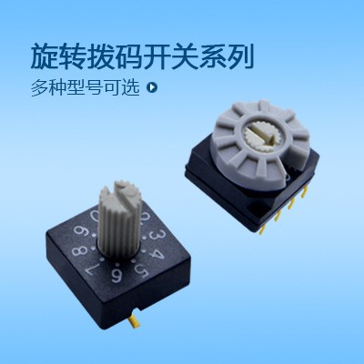 宏聚专业生产旋转拨码开关-规格齐全-型号齐全