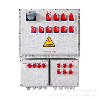 防爆照明动力配电箱BXMD IIB IIC IP65铝合金不锈钢材质仪表箱图5