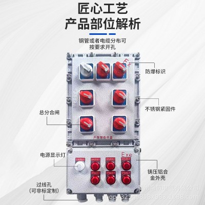 防爆照明动力配电箱BXMD IIB IIC IP65铝合金不锈钢材质仪表箱图3