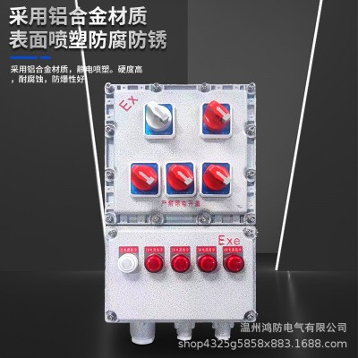 防爆照明动力配电箱BXMD IIB IIC IP65铝合金不锈钢材质仪表箱图2