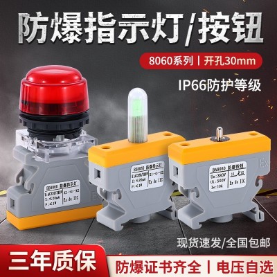 防爆防腐指示灯BD8060 LED分体式导轨式防爆指示灯 防爆按钮开关