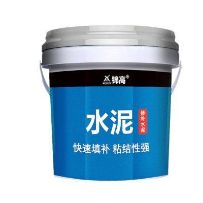 白水泥灰水泥425硅酸盐水泥堵漏王补墙填缝修补加水直接用速干
