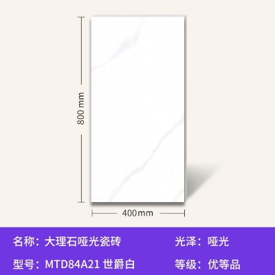 佛山家用客厅瓷砖哑光400x800mm装修内墙墙面砖厨房大理石地板砖