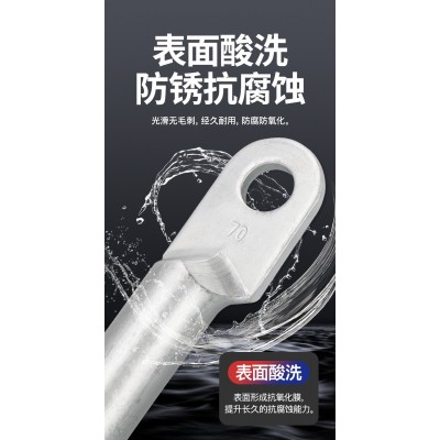 广卓厂家国标铝接头DLS双孔铝接线端子 非标铝线鼻子 电缆铝接线头