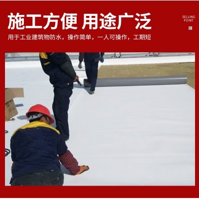 钢结构屋面PVC防水卷材聚氯乙烯 隧道防潮泳池工程高分子防水材料