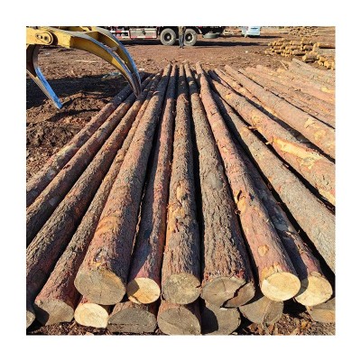 定制打桩木建筑地基桩园林工程防护木材高强度防腐落叶松打桩木