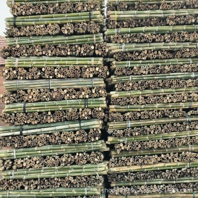 厂家直发竹竿菜架竹粗细搭架瓜果蔬菜爬藤绿化支撑136 936 74268