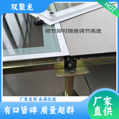 双聚龙 稳固性高 高架空活动地板 不易变形 防尘防腐蚀 厂家  100件