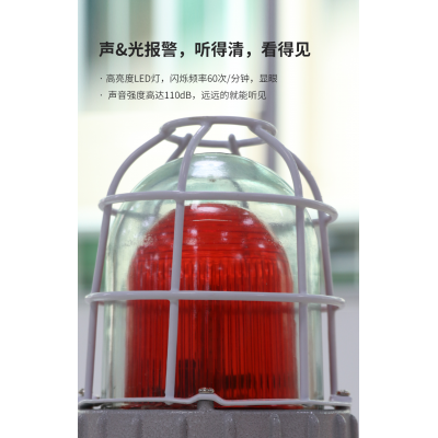 艾礼安防爆声光报警器 629J 高亮度LED灯，更节能